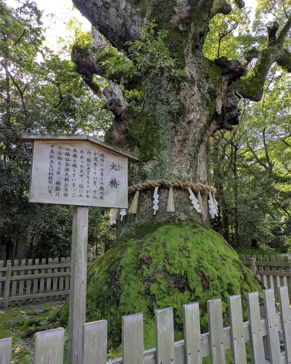 5chjnb's tweet photo. 二人より三人の効果

今まで二人だけの関係はパターンが決まっていて、いずれマンネリ化します。
だけど三人目が新たに加わることで一気にその場が華やかになり、新鮮な風が吹き込みます。

『現れる相手は自分の鏡』

日常の行いを大切にする人ほど幸せを運んでくれる誰かが必然的に現れるのです♪🌿 https://t.co/MDH4C4SKBs