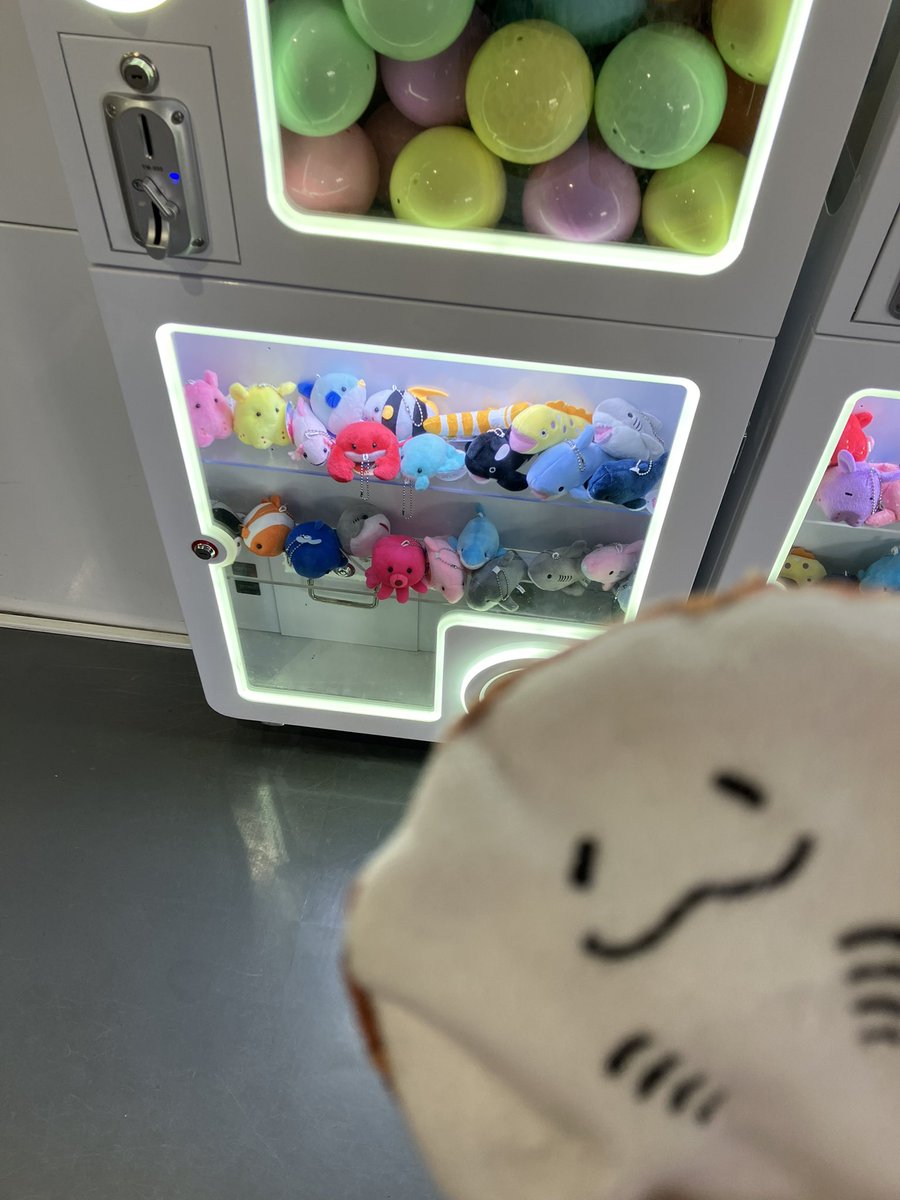pipipipipippi91's tweet photo. 🐙狙いでしたがまさかの🤣
かわいっ！ https://t.co/5Oq0DJuJ8F
