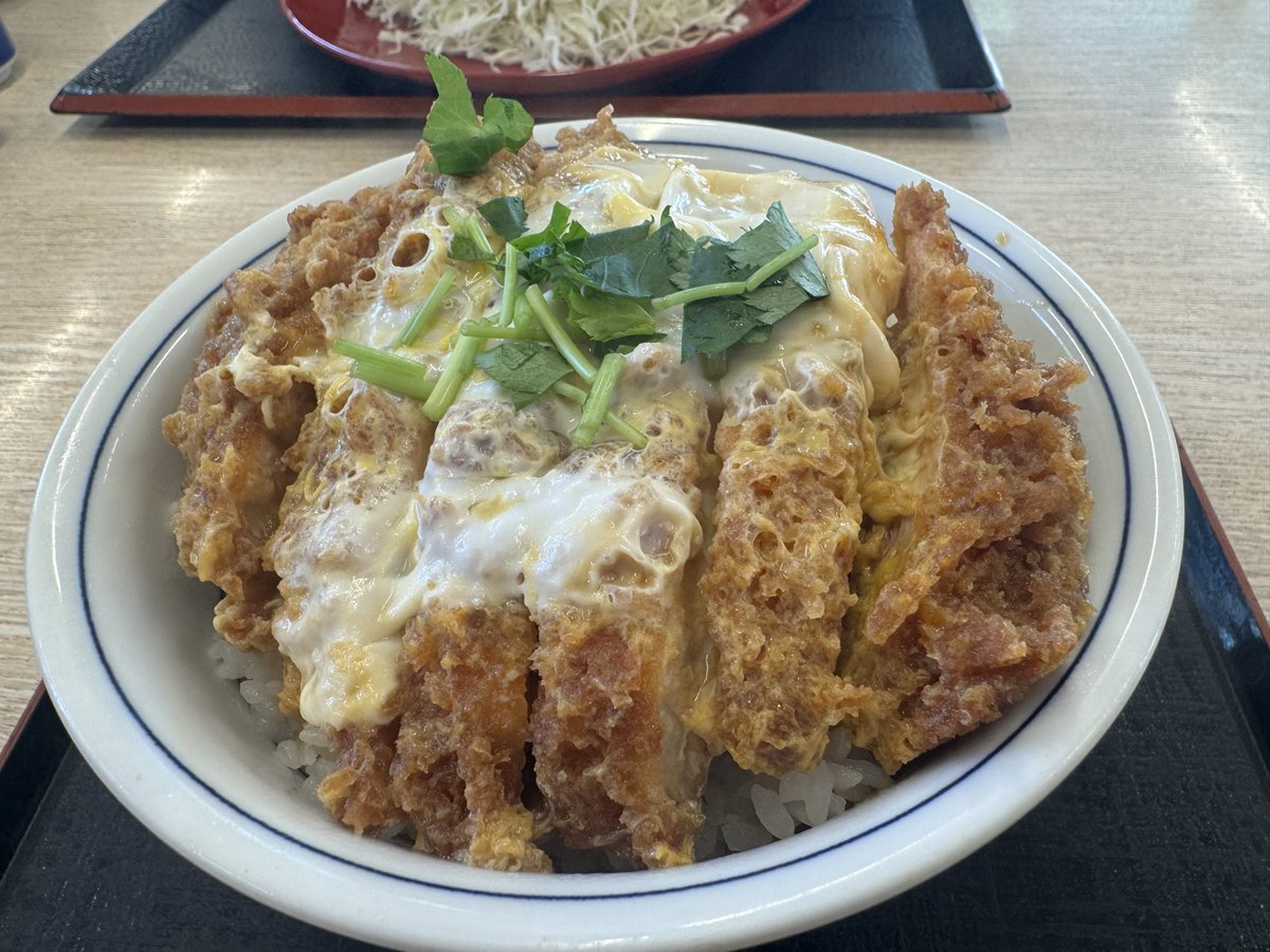 satousui's tweet photo. サマーツアー9日目親子6組13名
毎年自由に親子体験をさせてくれる会場なので、こちらも楽しくできました♪
9日10回195名…また来年も出来ますように_(┐「ε:)_ｱﾘｶﾞﾄｳｺﾞｻﾞｲﾏｼﾀ
感謝祭中のお店でカツ丼を食べました♪
たまに食べる白米は本当に美味しい_(┐「ε:)_ﾅｲﾁｬｳ https://t.co/YKI8RZ1YSs