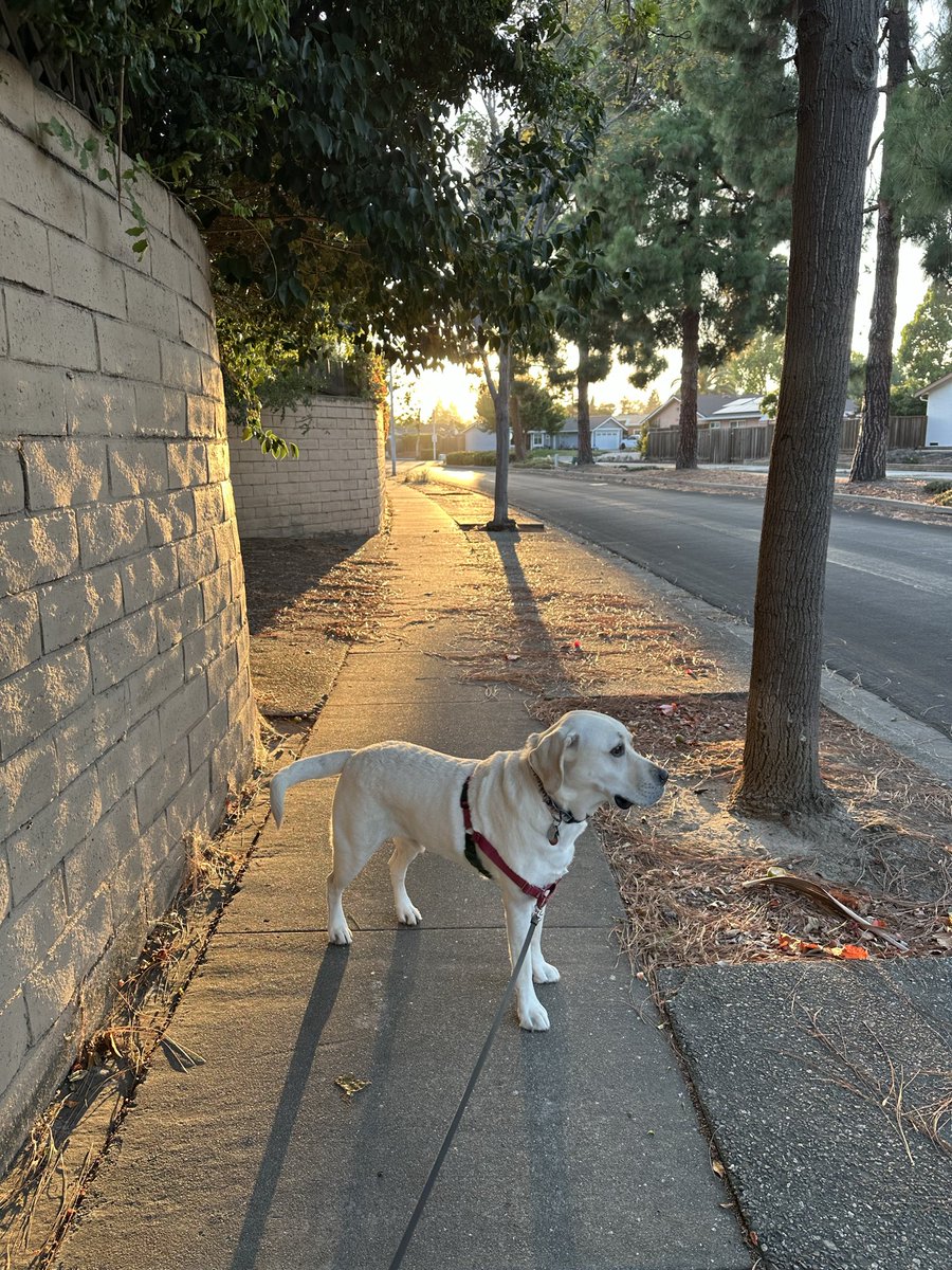 umahp's tweet photo. One of the best summer evenings in California! Reason it costs $$$$ to live here. https://t.co/HZoDxI6PGb