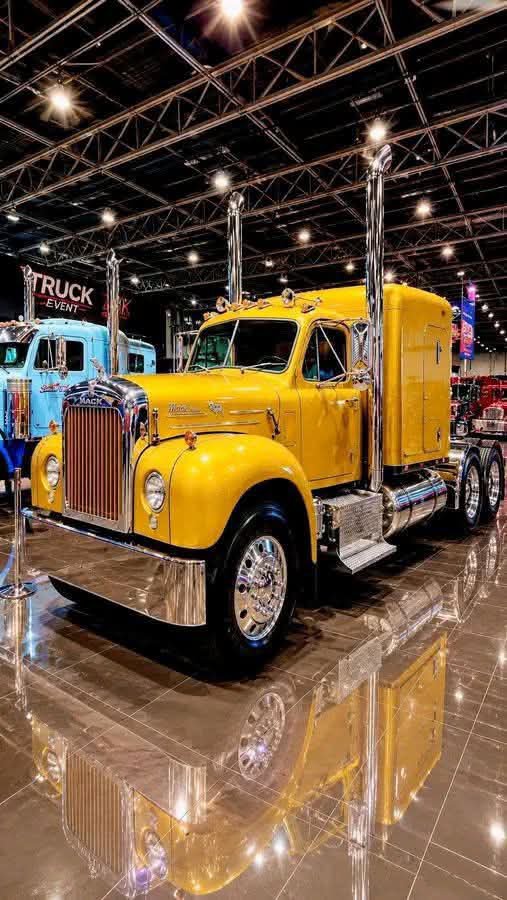 truckdrivers_'s tweet photo. yellow Mack

#kenworth #daycab #trucking #usaworktrucks #largecar #freightliner #heavyhaulage #usalargecars #bigrig #truckdriver #truckdrivers #truckdriverlife #truckdriverproblems #truckdriversdaughter 
 #trucking #truck #Truckers https://t.co/bpAwvi4KR0