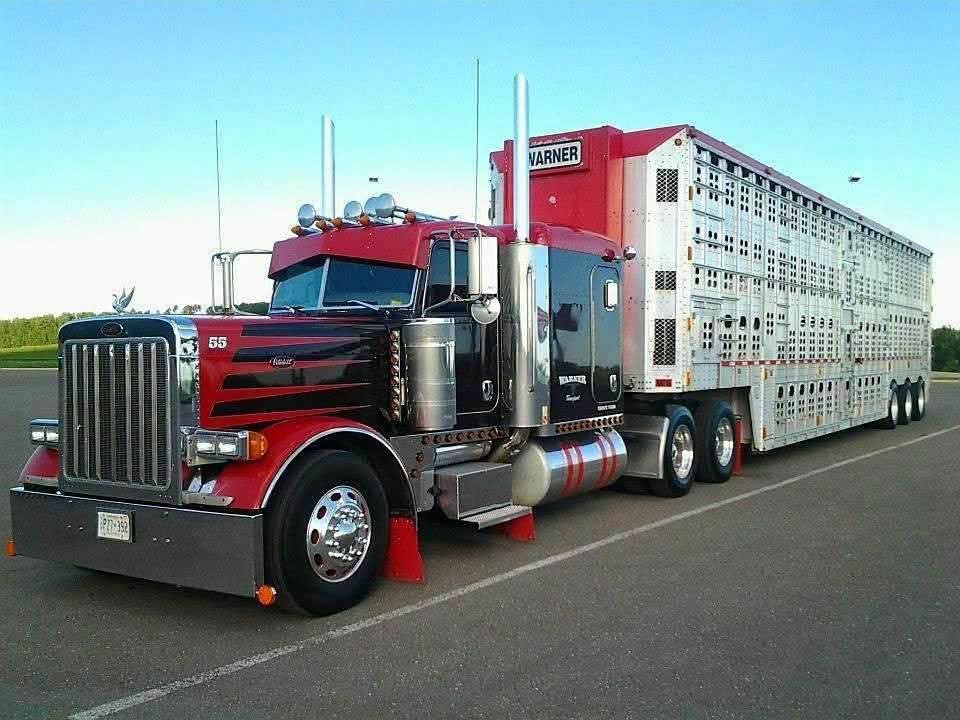 truckdrivers_'s tweet photo. The red King 
#kenworth #daycab #trucking #usaworktrucks #largecar #freightliner #heavyhaulage #usalargecars #bigrig #truckdriver #truckdrivers #truckdriverlife #truckdriverproblems #truckdriversdaughter 
 #trucking #truck #Truckers https://t.co/ZCcssAJOpC