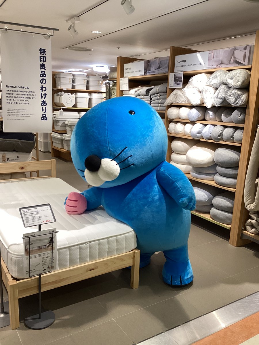 kumazawa6311's tweet photo. 【イベント】
ぼのちゃん、無印良品に寄り道中〜 https://t.co/xQNU6CbbdM
