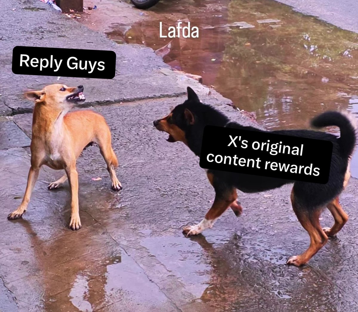 Shashwat_web3's tweet photo. Nikita tried hard

>reduce engagement farming.
>reduce reply guys.

after he stepped away

>they just simply introduced a content program with much better direction. https://t.co/WoXjtmrOmn