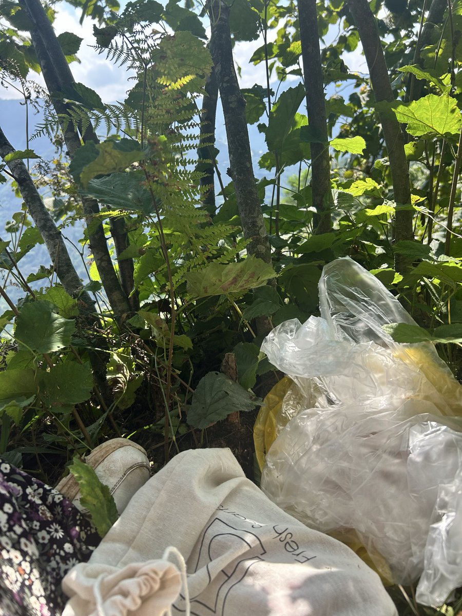 bidildade's tweet photo. Çantam ve ben fındık bahçesindeyiz 🫠🙄 https://t.co/UVuUtDf0X8