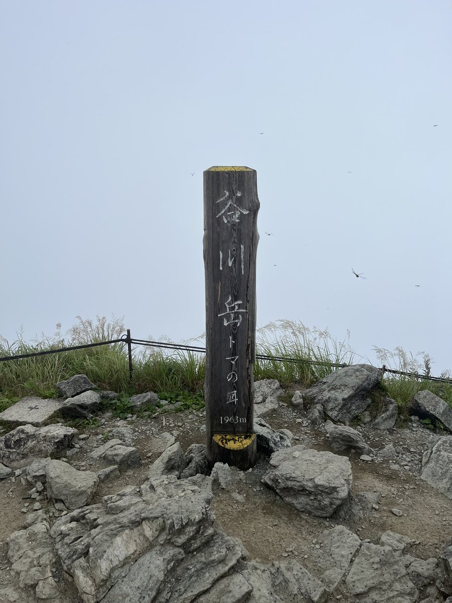 yoh_zen's tweet photo. 西黒尾根登山口から谷川岳！
山頂天気悪い…めっちゃ雨降られた…
次は富士山🗻 https://t.co/X4cJ4hG5Ve