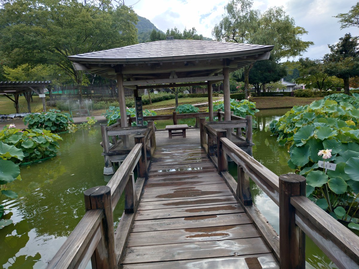 skentatta's tweet photo. ゲリラ豪雨止んだので
そのまま南条で降りて裕子Pの聖地である花はす公園来ました。 https://t.co/ali4fQNqcN