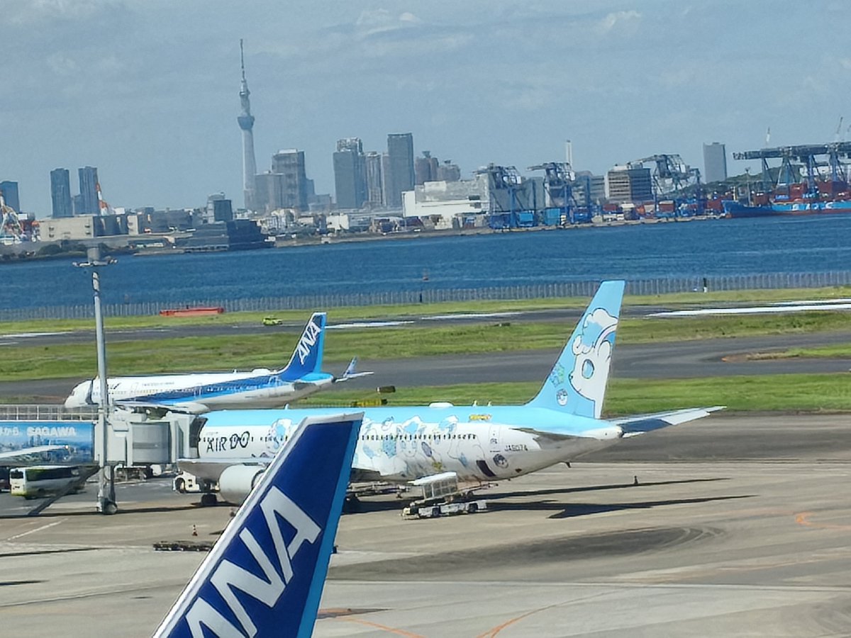Lsi4Uv's tweet photo. 羽田空港行ってきた！滞在時間10分弱。次回もっと時間ある時行きたい。そして3苗回収できた。 https://t.co/LLZoAHvq5o