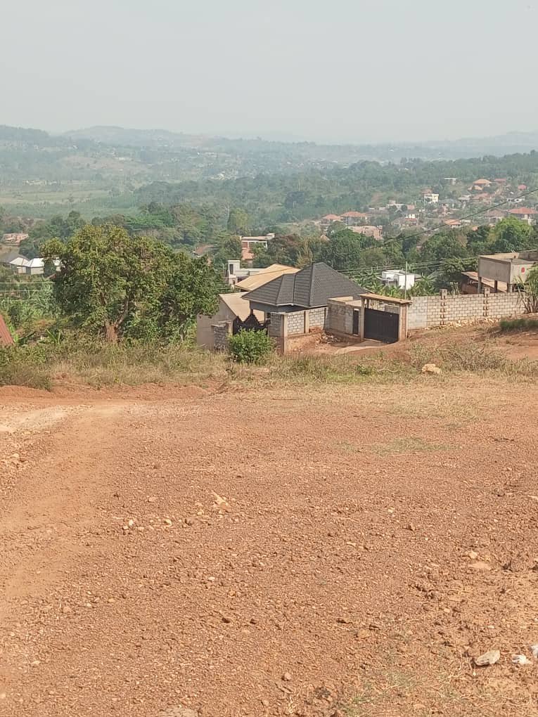 shukranproperty's tweet photo. HILL VIEW PLOTS FOR SALE
Kitende #Kitovu Nalubude on Entebbe Road
50ft by 100ft / #13Decimals
Selling at #35m Ugx Each
Private Mailo land titles
3 plots Available
0706592177 https://t.co/PBD1KXWs9k