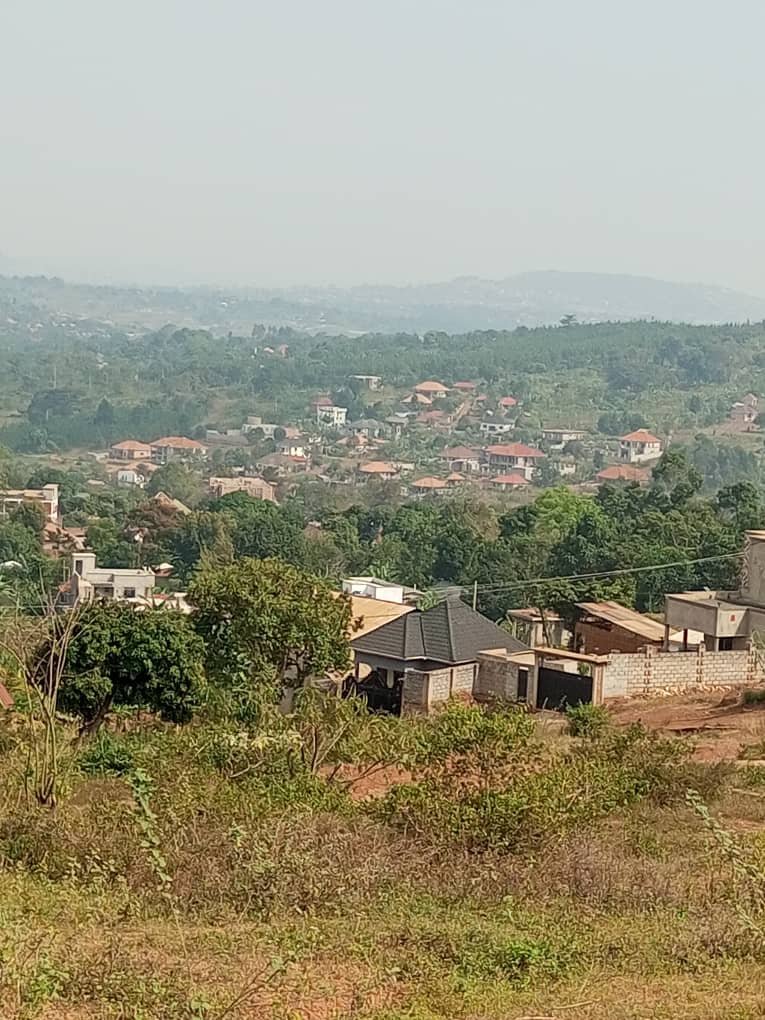 shukranproperty's tweet photo. HILL VIEW PLOTS FOR SALE
Kitende #Kitovu Nalubude on Entebbe Road
50ft by 100ft / #13Decimals
Selling at #35m Ugx Each
Private Mailo land titles
3 plots Available
0706592177 https://t.co/PBD1KXWs9k