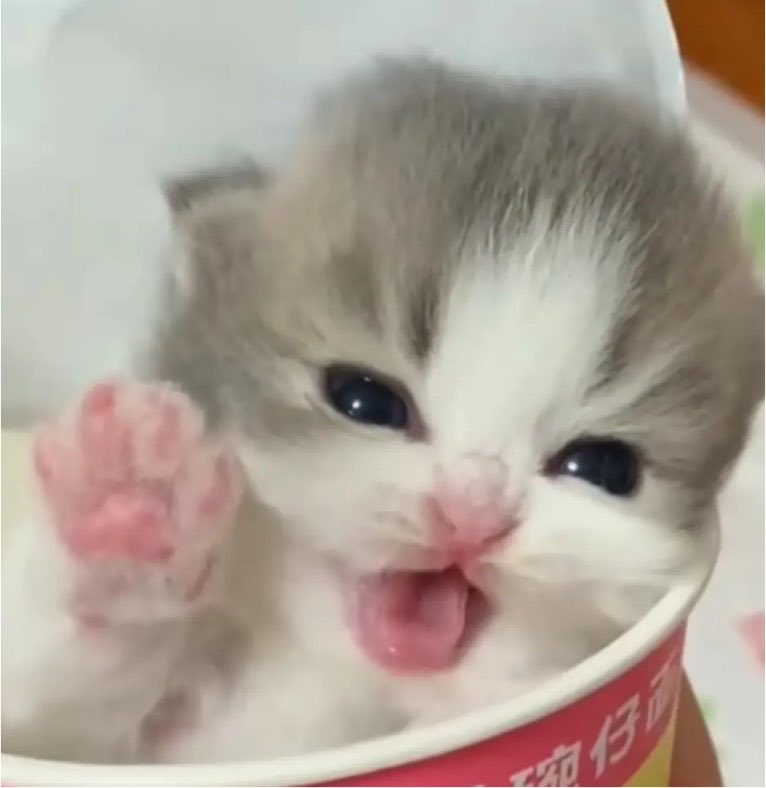 softnotesx's tweet photo. can i get ice cream, please? https://t.co/RpBPSa0tT6