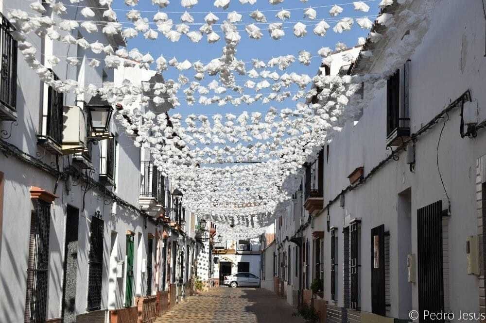 DiarioRociero's tweet photo. Buenos días nos dé Dios.
Hoy es 8 de AGOSTO de 2.026 y quedan 281 días para el lunes del #Rocío2027
y sólo 10 para el #Traslado2026 de la Virgen a su pueblo.
¡Feliz sábado!
#Rocieros
#ElRocio
#EnLasManosDeLaVirgen https://t.co/ihtull2Qio