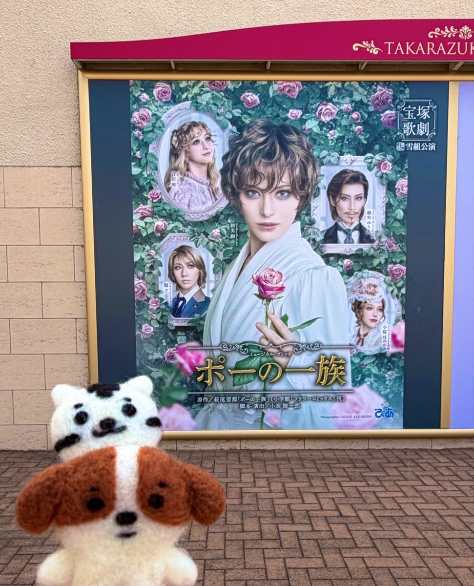 RYK236's tweet photo. （羊）モーの一族🌹 https://t.co/GfWrtAaVgT