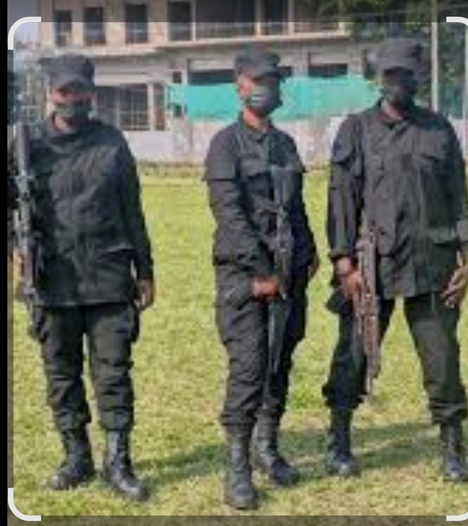 mulikuza_jordan's tweet photo. ‼️🛑‼️#SUD_KIVU : L'#AFC_M23 REMPLACE LES MAISONS DE SÉCURITÉ PAR UNE MAISON VENUE DU #RWANDA NOMMÉE #KNJ « #Kagame_Nationale #Jetelemen » PROTECTION.
Cette maison de sécurité a été créée au #Rwanda et transférée à #Goma où plusieurs militaires #rwandais #M23RDF y ont été transférés et y travaillent comme agents de sécurité.
#KNJ a ouvert ses portes à #Bukavu de puis le début de cettesemaine du 1er au 6 août 2026, elle est installée à la botte dans un #immeuble qui se trouve à l'entrée de l'hôtel Riviera.
selons nos caméras braquer sur toute les frontières de la ville de #Bukavu, Plusieurs militaires #rwandais ont traversé frauduleusement et tenus civils et seront affectés dans des sites d'ici lundi, certains de ces militaires sont gardé par le gouverneur du #M23_AFC BUSUBWANGWI et les autres dans des maisons des rwandais à #nguba et #muhumba
Tous les gens de sécurité de #KNJ « #Kagame_Nationale #Jetelemen » PROTECTION utilisent les armes à #feu🔥 et sont bien blindés. L'objectif de cette implantation est de #militariser les deux villes, la ville de #Bukavu et la ville de #Goma qui est déjà militarisée par plusieurs militaires venus du Sud-Soudan, #Kenya, #Ouganda..., le deuxième plan est d'engager les jeunes #rwandais, #soudanais, #kenyans et mettre plusieurs jeunes congolais au chômage, pour les pousser à quitter le milieu et aller chercher d'autres travaux de survie en-dehors de leur ville, troisième objectif, chercher à se rassurer de tout ce qui se passe dans le milieu, le fait qu'ils craignent l'infiltration des #Wazalendo qui les met mal à l'aise dans les zones qu'ils contrôlent.
Nous vous rappelons qu'il y a un mois que le président #rwandais avait ordonné la fermeture de 92 maisons de sécurité à #Bukavu, ce qui a coûté à plus de 69 090 jeunes congolais d'entrer dans le chômage acru
Pour plus d'informations, aimez, partager et abonnés vous sur notre page X @mulikuza_jordan