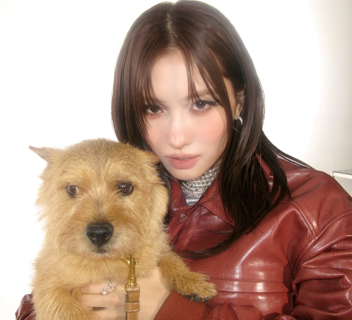 godmitzu's tweet photo. MOMO AND BOO AT HER PHOTOSHOOT 😭

"The capybara I'm raising" https://t.co/LTLPLAUMFn
