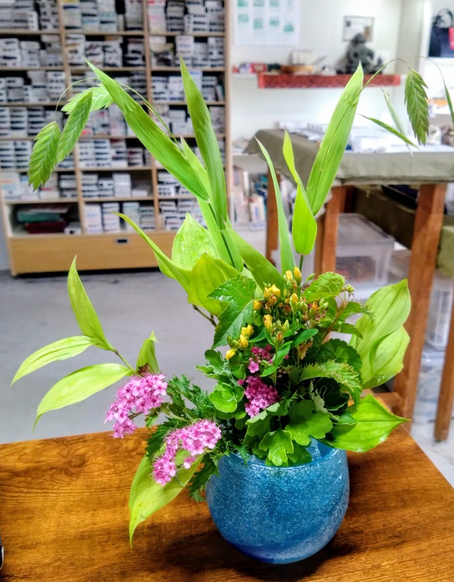 sanaem4's tweet photo. お店番の日
お客様から、野草の生け花をいただきました。
シモツケの花、大好き。
西洋コバンソウも出番を貰って嬉しげ。 https://t.co/NJhdp0iqtV