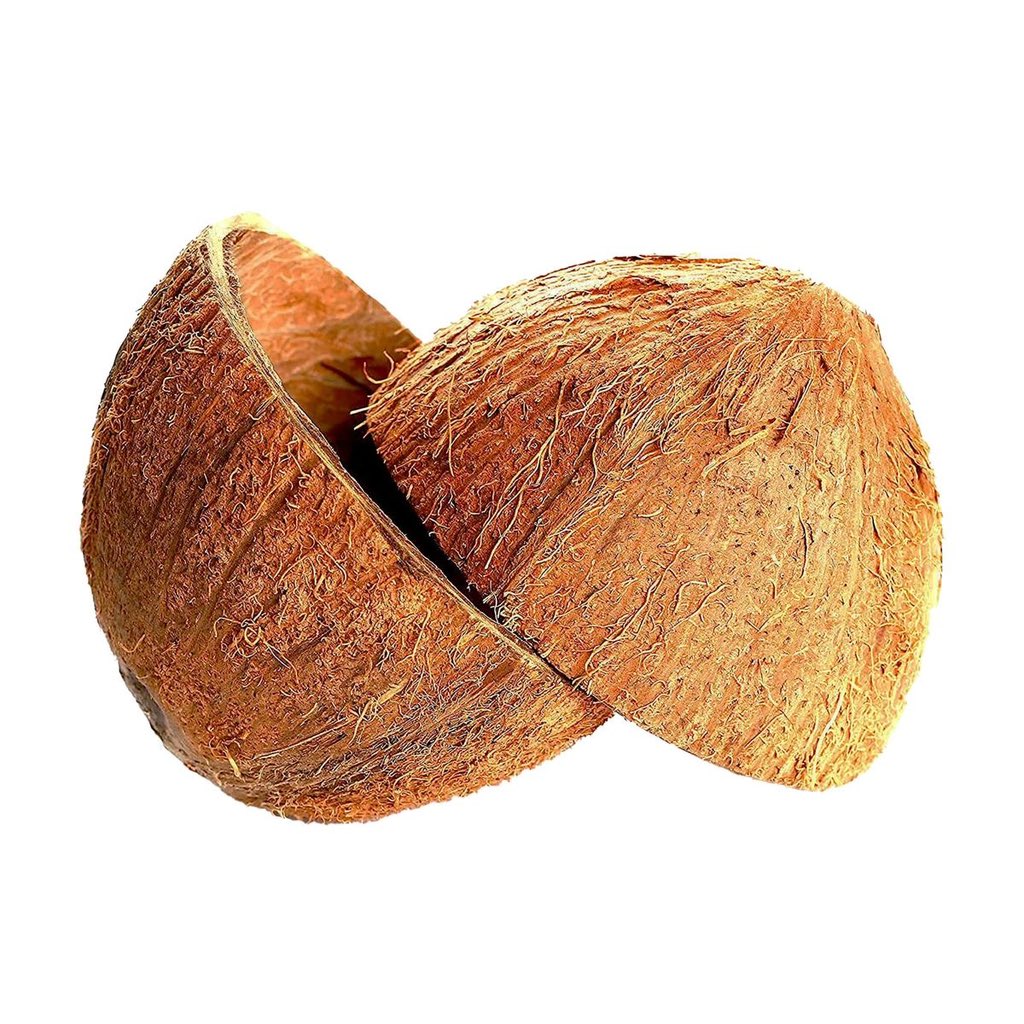 OlawaleOlanir12's tweet photo. For mercy try this 

Get one coconut 

Get Epo obo ( anti witch craft bark) 

Use a saw to cut the coconut into two and collect its water inside a bowl 

Pound the Epo obo and add native soap to it 

Then mix with the coconut water 

Make sure the soap you add us the one that can fit perfectly inside the coconut shell 

Remove the white part of the coconut from the shell and put the soap in the shell then cover it with the head 

Start bathing it the next day 

Every morning and night 

If you can’t do it yourself dm