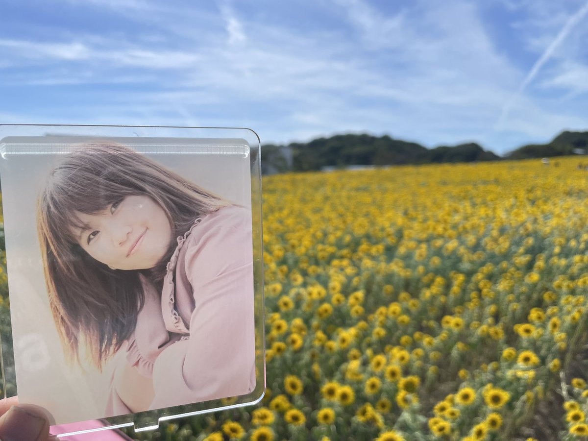 mikan_arms's tweet photo. ご報告

8年8月8日に私は山本姫可さんと南知多花ひろばでリア充に紛れて擬似デートをしていたことをご報告します。 https://t.co/qw2ughJlWI