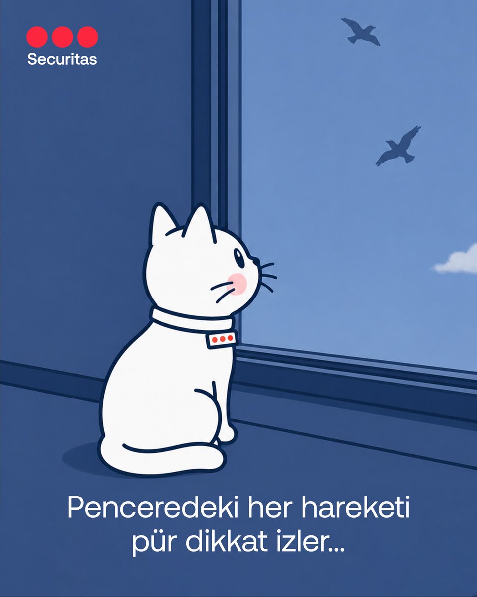 SecuritasTR's tweet photo. Başta Secu ve Seko olmak üzere, içgüdüleriyle güven veren tüm patili dostlarımızın Uluslararası Dünya Kedi Günü kutlu olsun! 🐾

#Securitas #SecuritasGüvenlik #Secu #Seko #KediGünü #FarklıBirDünyaGörün https://t.co/0edapMkxMv