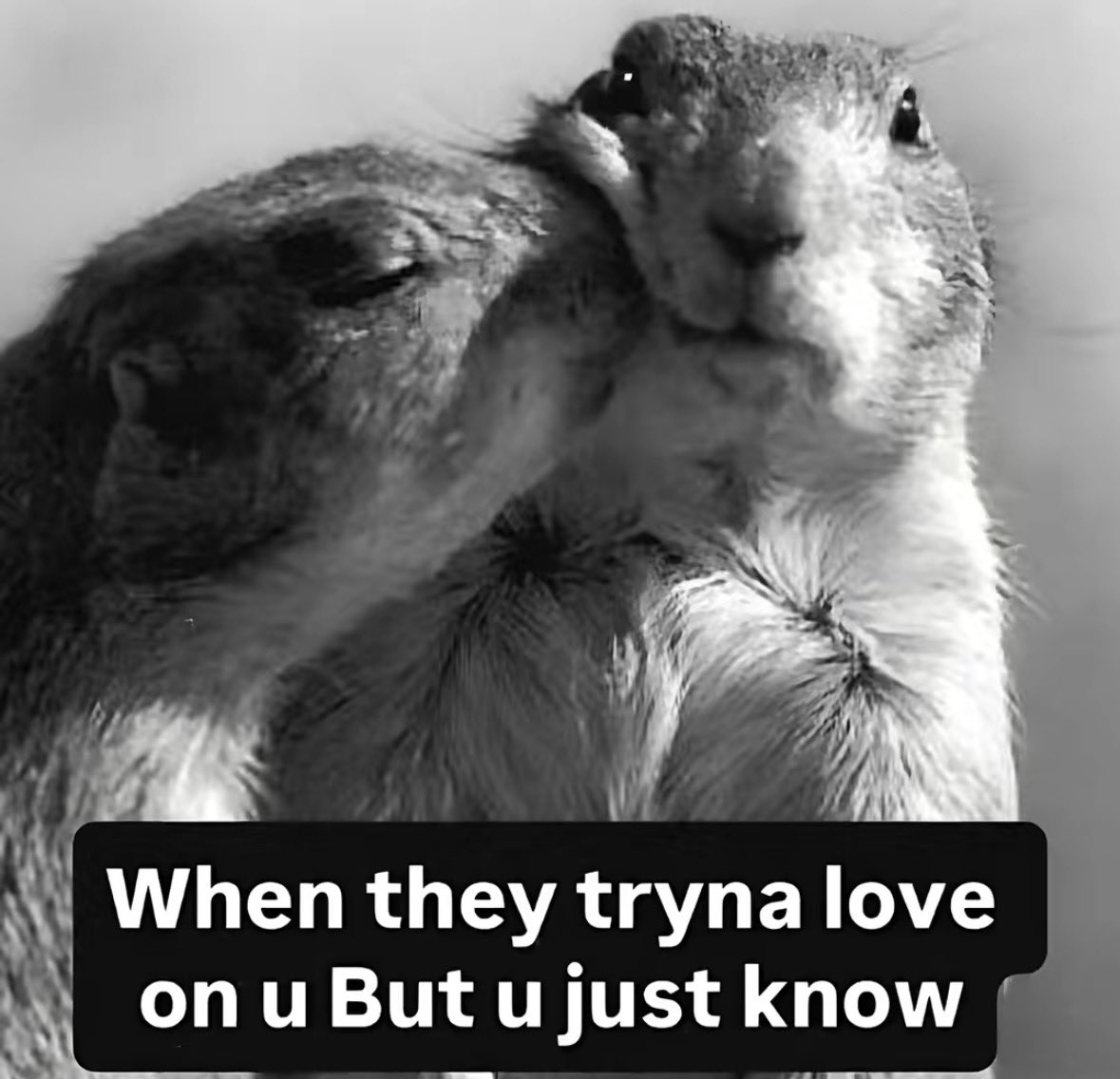 rtzvv's tweet photo. https://t.co/D6x89k1Z5V