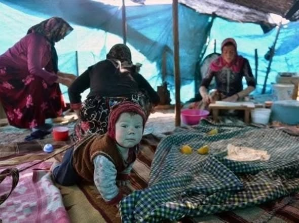 TOPRAK_2_'s tweet photo. YÖRÜKLER   DOĞA DOSTU 
Yörükler; bu ülkenin en az bozulmuş, yurt ve vatan sevgisini en fazla taşıyan kesimlerin başında gelir. 
Yörükler; gerek üretimleri, gerekse tüketimleri ile doğaya en az zarar veren kesimlerin başında gelir.
Yörükler; doğayla en fazla iç içe yaşayan, doğayı en fazla tanıyan, doğayla en fazla bütünleşmiş kesimlerin başında gelir. 
Ülkemizde en fazla, sabır, tahammül, dayanıklılık, metanet, kanaatkârlık, Yörüklerde mevcuttur. 
Bahar geldi mi yaylaya çıkar, güz sonuna doğru yayladan inerler. Otun şifalısı, suyun devalısı nerededir bilirler. Bir otu boşa harcamaz, bir yudum suyu boşa israf etmezler. 
Koyun, kuzu, keçi, deve, at ile can yoldaşı;  kuş, sincap, vb. hayvanlar ile ile yol arkadaşı olup, tilki ve yılan gibi hayvanlarla dahi karşılıklı saygıya dayanan bir ilişkileri vardır.
Doğada her canlının bir işlevi olduğunu, birinin eksilmesinin diğerlerine ne kadar zarar vereceğini bizatihi yaşamlarından tecrübe ede ede öğrenmişlerdir.
Anlayışları sağlam alıp, sağlam teslim etmek üzerine kurulmuştur. Dedelerinden nasıl almışlarsa, torunlarına öyle bırakmak gerektiğini bilirler.
Yörük; Akkeçili’dir, Karakeçili’dir, Sarıkeçili’dir, Akkoyunlu’dur, Karakoyunlu’dur…
Oğuz’dur, Kayı’dır, Bozok’dur, Karaevli’dir, Salur’dur, Yazır’dır, Yüreğir’dir, Bayat’dır, Kınık’dır, Kargın’dır, Kızık’dır, Beydili’dir, Ulaş’dır, Bayındır’dır, Çepni’dir, Eymür’dür… Doğan’dır, Şahin’dir, Kartal’dır, Torumtay’dır…
Atatürk ne demişti: Efendiler, Torosların tepesine bakın, orada bir Yörük çadırı varsa ve dumanı tütüyorsa korkmayınız.
Vatanımıza kast eden onun bunun çocukları, küresel emperyalizmin piçleri, çıkarttıkları, önlem almadıkları,  orman yangınıları
Yörükler, bunu bilmeli, buna göre hareket etmelidirler. Binlerce yıldan beri yurt belledikleri ormanlar, dağlar, tepeler, bayırlar, çayırlar… Ne kadar yaşanılmaz hale gelirse-getirilirse- gelsin, inadına aynı yurtlarında yaşamaya devam etmelidirler.
Şartlar her ne olursa olsun, İzmir’den, Aydın’dan… Antep, Urfa’ya kadar, hangi dağa, hangi tepeye bakarsan bakalım, o YÖRÜK ÇADIRINI, ORADA GÖRMEMİZ LÂZIM… 
Asıl felaket ne yangınlar, ya yakılıp yıkılanlar değil, O ÇADIRI ORADA GÖREMEDİĞİMİZ GÜN BAŞLAR.