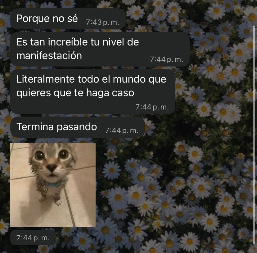 Rencito_'s tweet photo. JAJAJAJA que te digo https://t.co/MHYDtILMqq