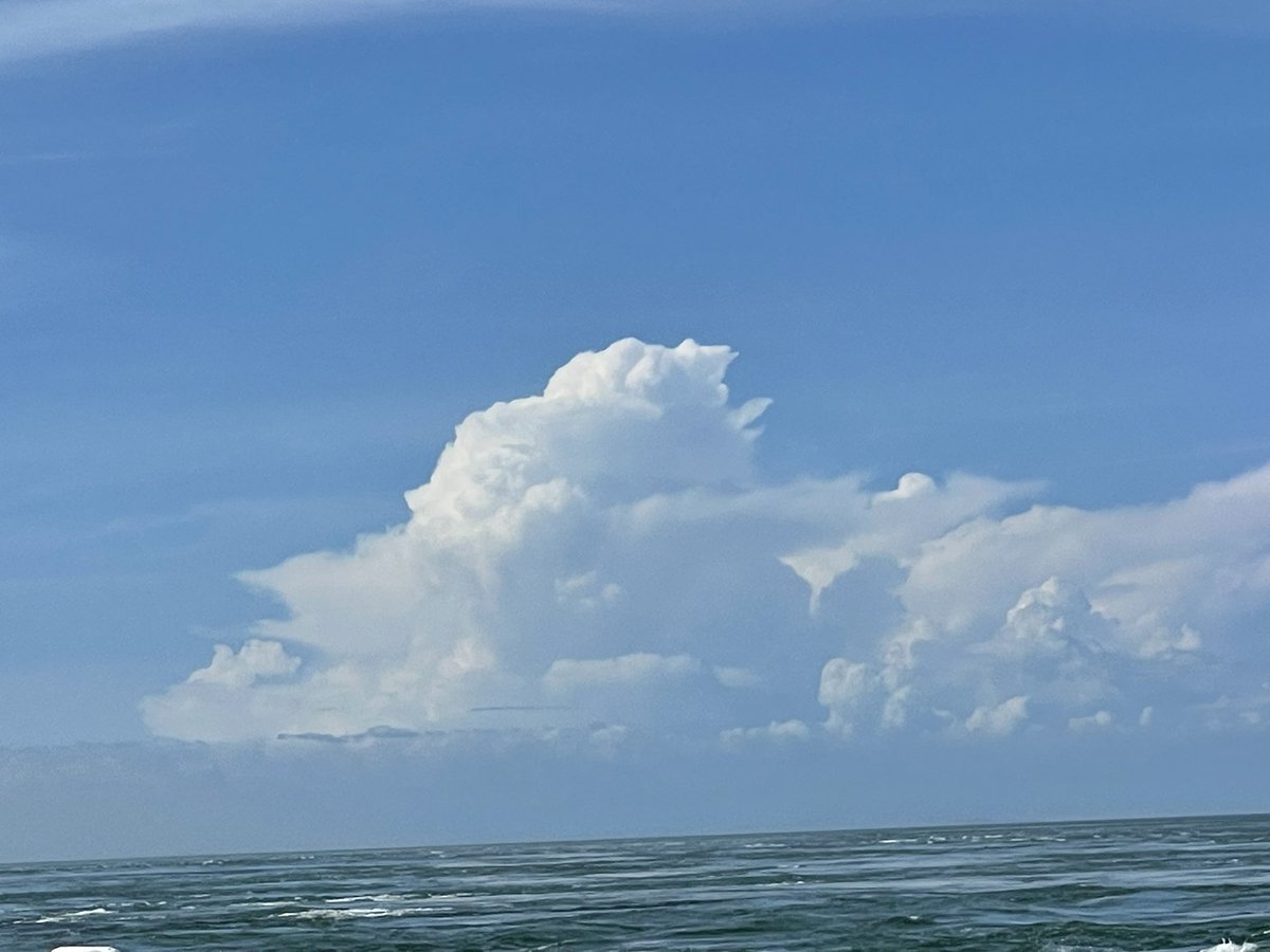 sorano_16's tweet photo. 船🚢台風のせいかあんまり渦巻いてなかった🌊 https://t.co/6KPJDDWUVU