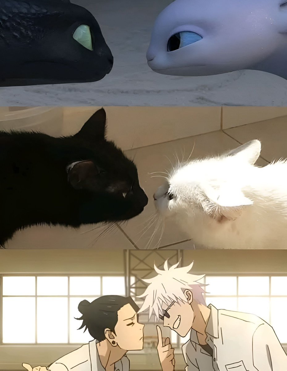 animeposts's tweet photo. Same energy https://t.co/xqcgYwi9td