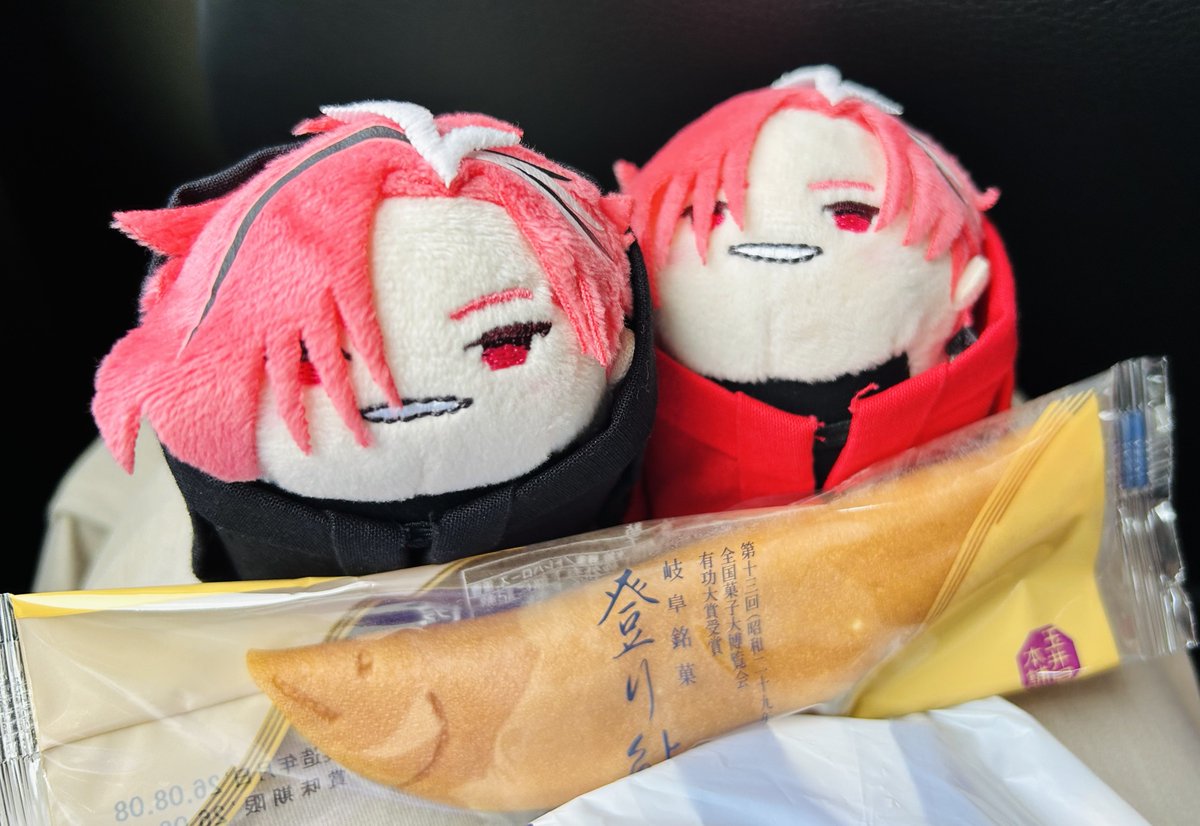 nr_sagyo's tweet photo. 岐阜に来たら鮎菓子食べる https://t.co/4fGGShl7SK