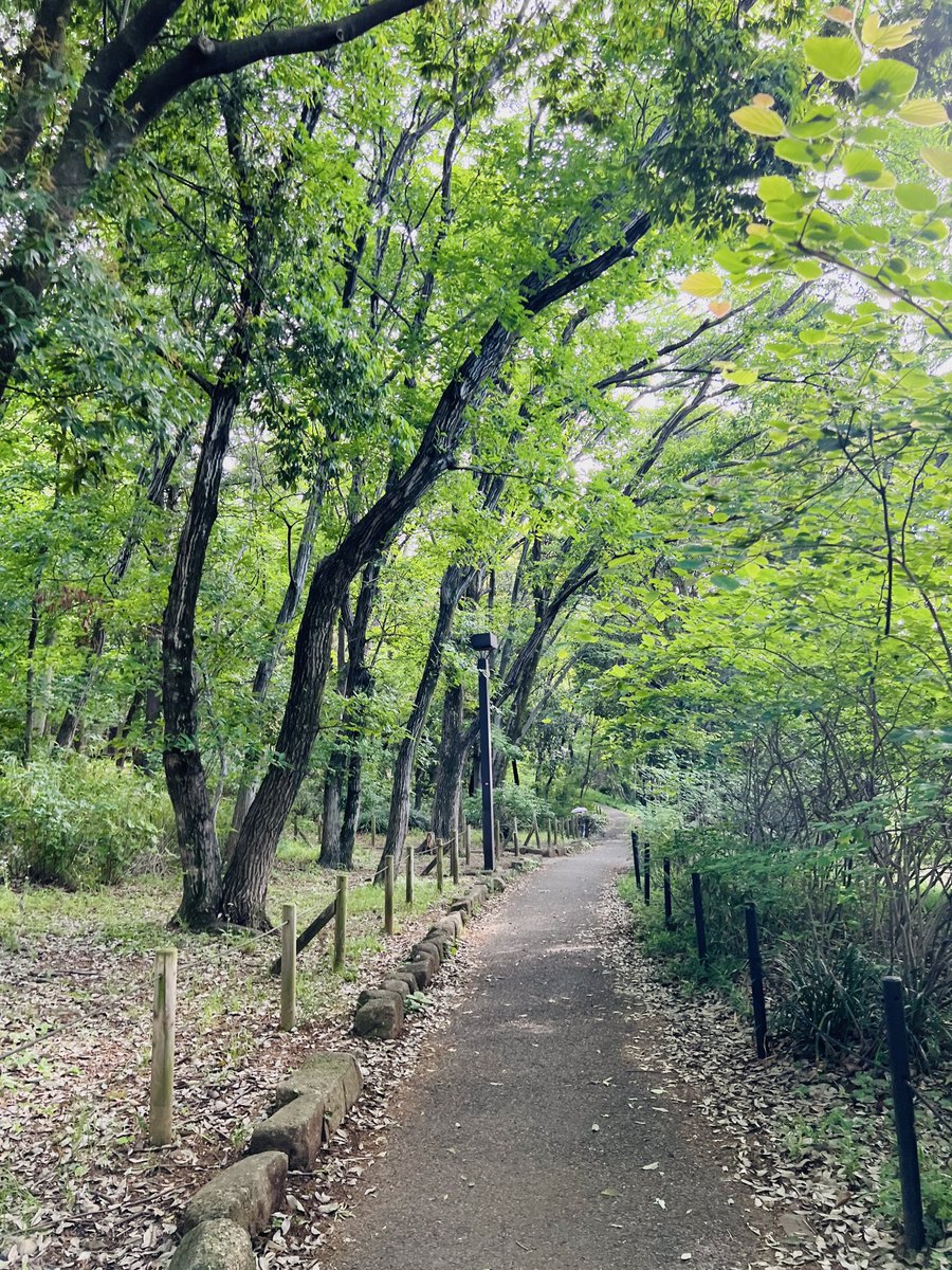 kiki_no_camera's tweet photo. 遠回り道 https://t.co/Kl4ml0b1hV