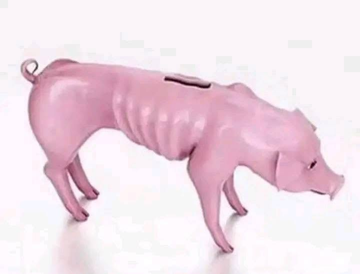 pakalupapitow's tweet photo. my piggy bank right now https://t.co/SwqtE2eZGW