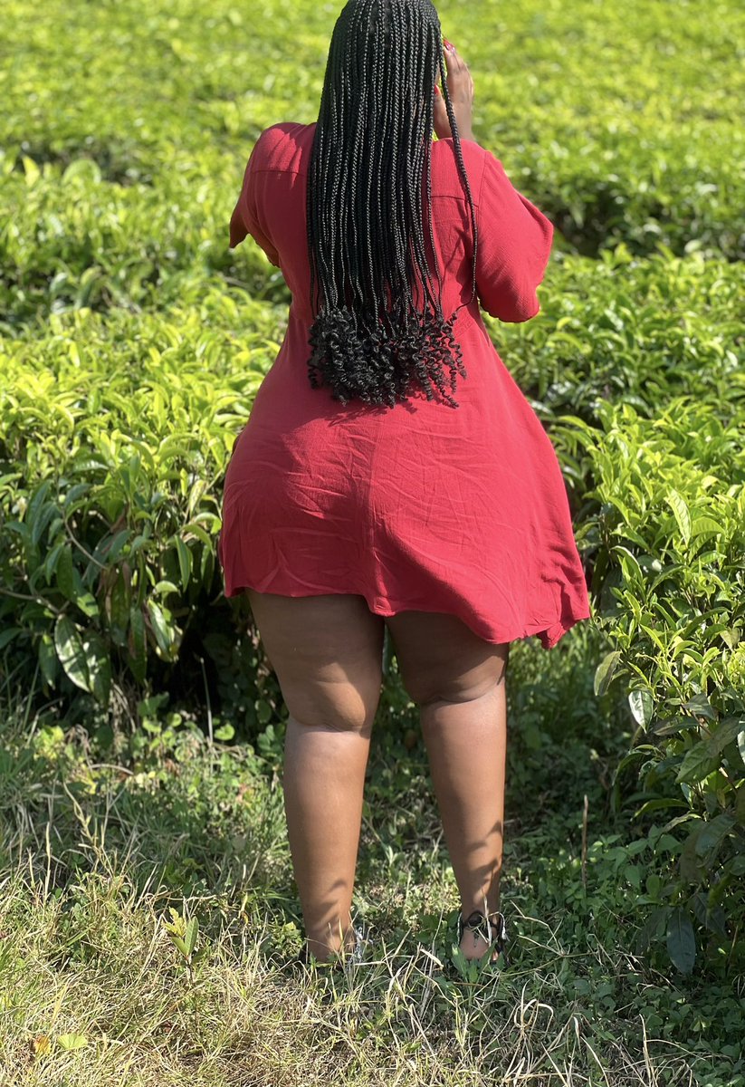 PeaceGisha's tweet photo. Keeping this here😊🥰 https://t.co/Yc3hF3uYHe