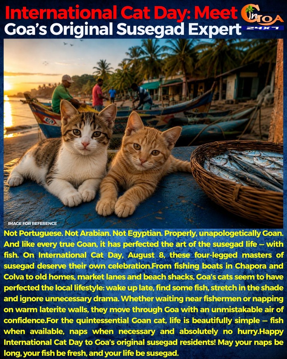 InGoa24x7's tweet photo. International Cat Day: Meet Goa’s Original Susegad Expert
#Goa #GoaNEWS #InternationalCatDay #GoanCats #Susegad https://t.co/AZpZerf4LM