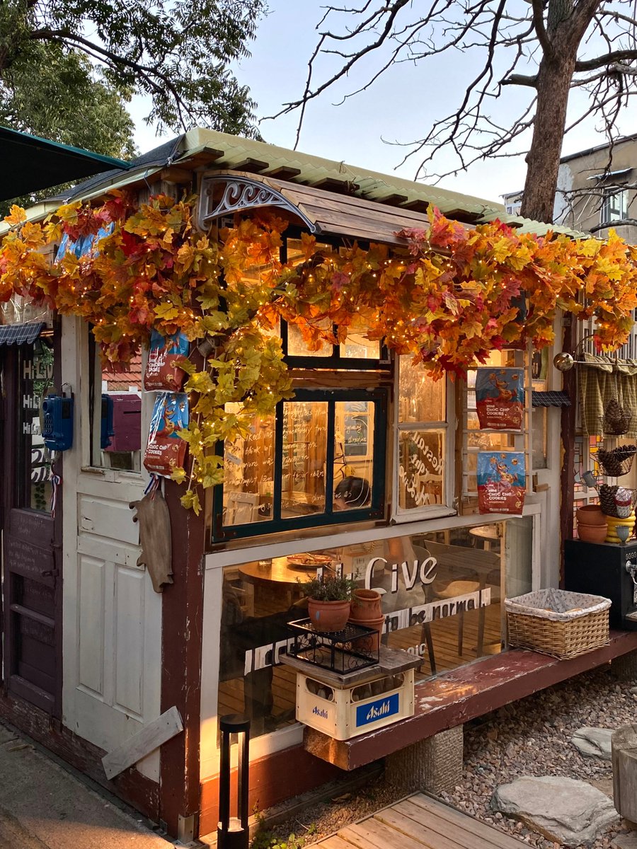 MaggieBeeroauk's tweet photo. Sunny autumn breeze + warm coffee = perfect Saturday. Fall’s here, and it’s pure magic. ， https://t.co/KM0kjTMKXI