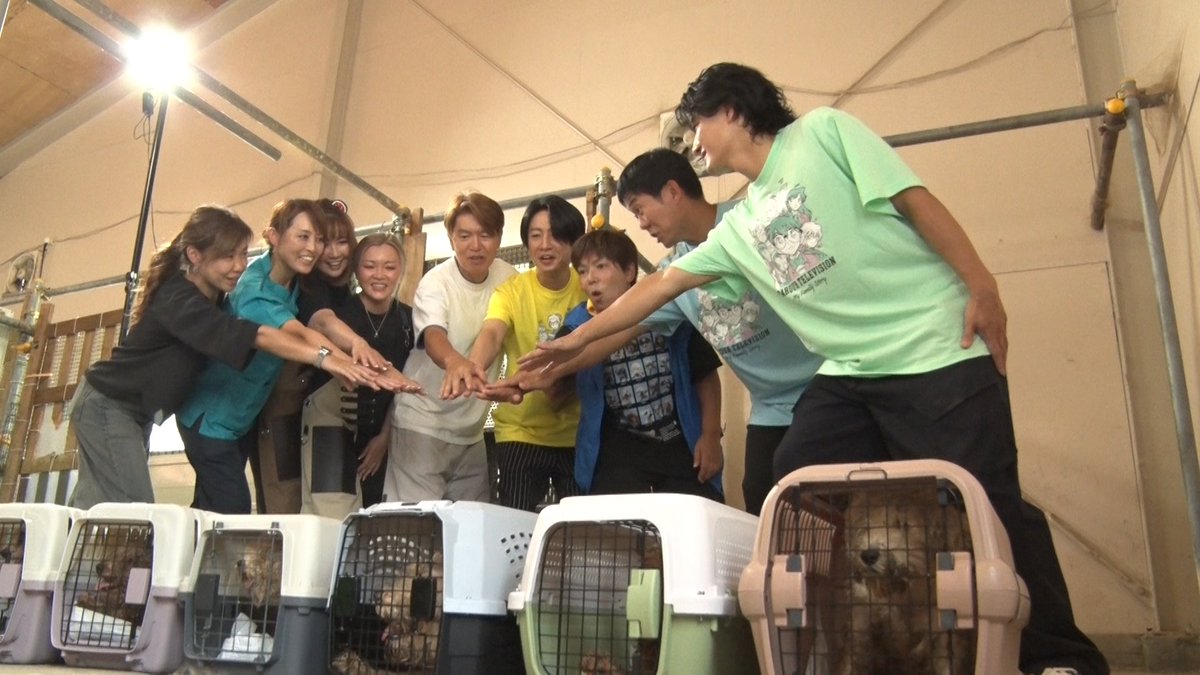 nittele_ntv's tweet photo. ◤相葉雅紀の"保護犬トリミング"◢

ヒロミ×森本慎太郎(SixTONES)に加え
サッカー日本代表・森保一監督が初参戦

愛犬家として知られる森保監督が
相葉、ヒロミ、森本とともに
心を込めてトリミングに挑みます

🗓️29日(土)夜6時30分～30日(日)夜8時54分
 『#24時間テレビ49』
https://t.co/xGIn4hYTTn https://t.co/LW3zkcGk3r