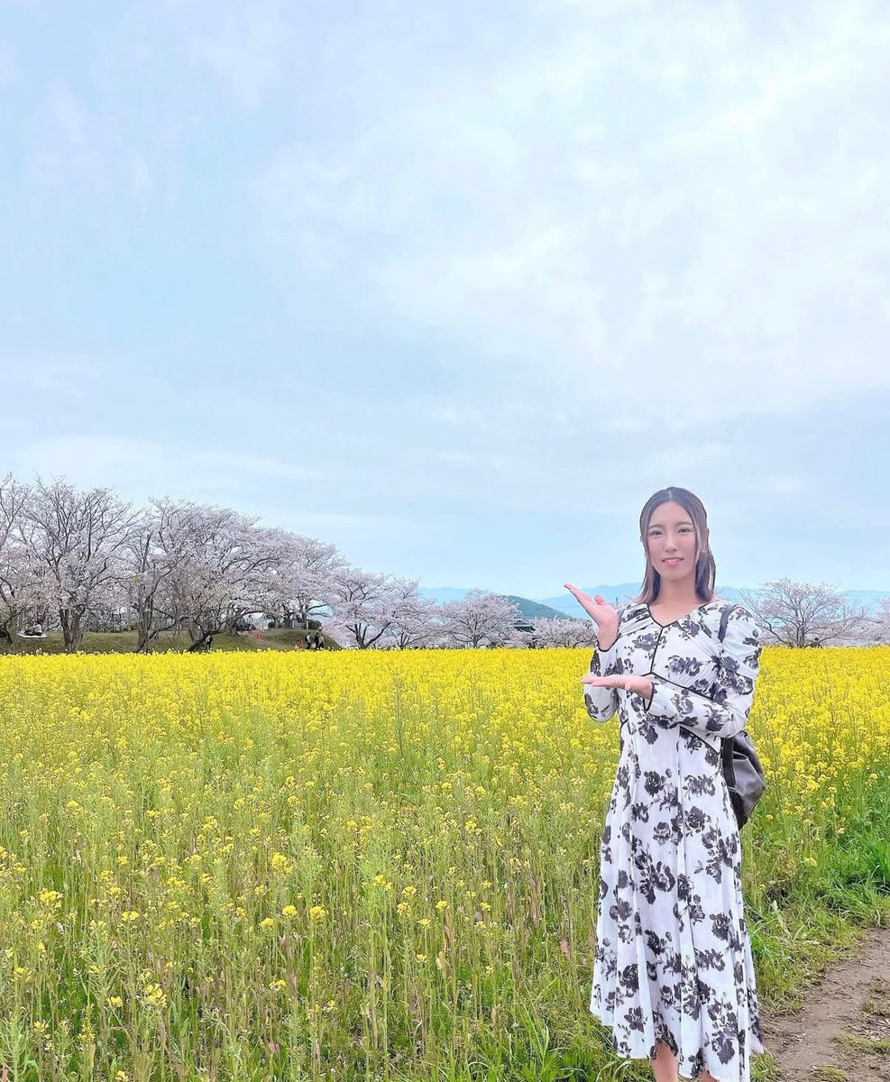 mayuhappy831's tweet photo. こんなに自然豊かで食も豊富で治安も良い国は日本しかないよ。その日本をこわして良いの？今しか取り戻すことはできない

四季折々の景色を楽しむことができるのも自然を大切にする文化があるから。

日本人の心を取り戻しましょう🌸🇯🇵

#移民政策反対 https://t.co/Ek1oiw7Vcc