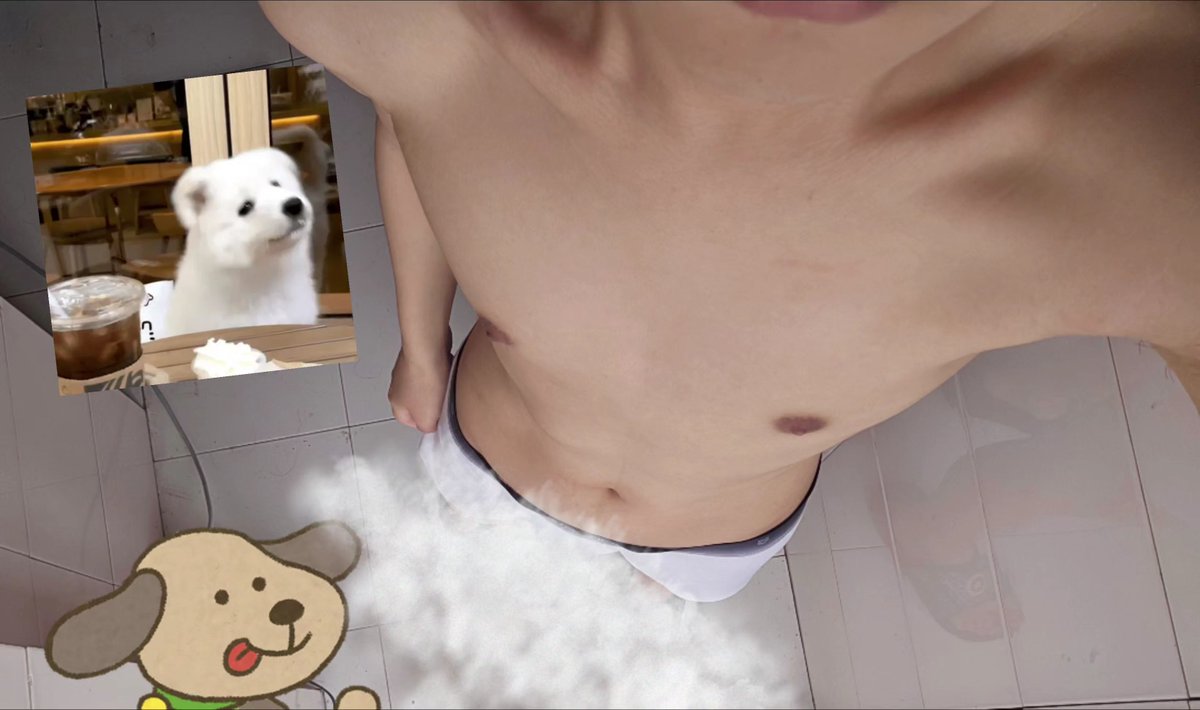 achikaochang's tweet photo. 有无西安男高男大1，喜瘦，🉑轮🉑伺候🉑生活化，越帅可越无🧠玩 #西安 #肉便器 #骚狗 #轮奸 https://t.co/uRktSmHODg
