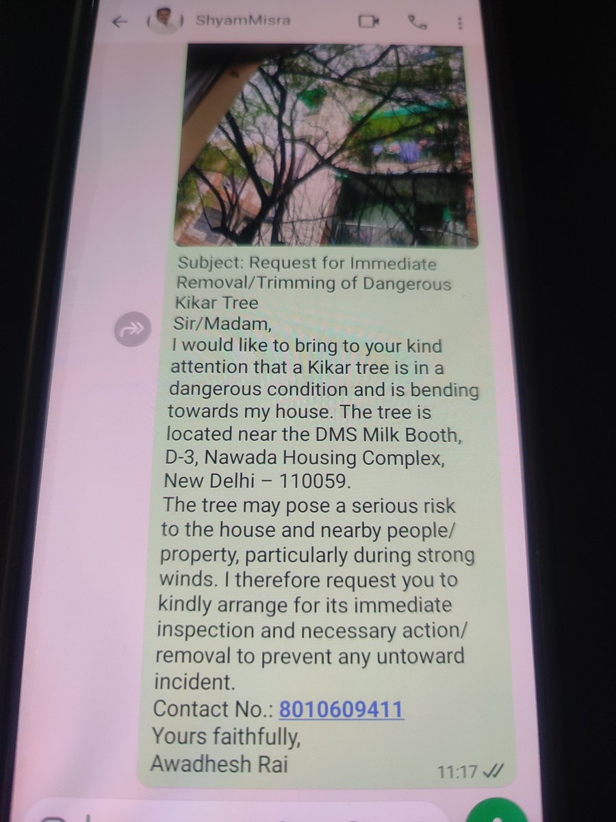 adrai_64's tweet photo. Request for Immediate Removal/Trimming of Dangerous Kikar Tree

@CMODelhi
@LtGovDelhi
@MCD_Delhi https://t.co/SLzqqg0HmO
