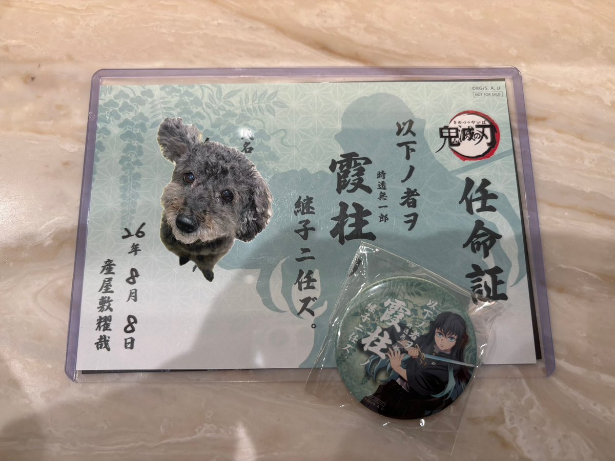 FeunIBo7IT3EJXA's tweet photo. 去年から通い初めたカフェ☕️
推しのB.Dに無事に継子になれました！！
令和8.8.8🩵
無一郎の無は無限の♾️無なんだ！！
令和8年って書けば良かった…笑

ま、いっか。

#推し活　#むいくん誕生日　#継子認定
#霞🌫️柱　#8.8.8 https://t.co/Vvm1sVV1sq