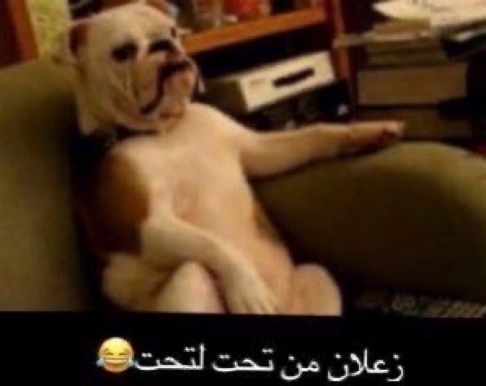 kil_yan10's tweet photo. @4Mililil بعد ما نطلع من الانوار https://t.co/1VNQamq1sg