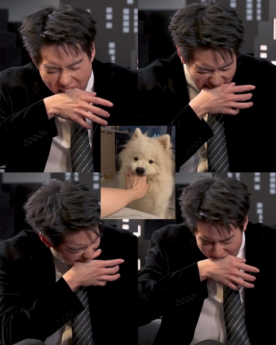 cpfxxxx's tweet photo. โอ้ย! เต่บ! 💢🐾🐕 https://t.co/3mDj7IRv8F