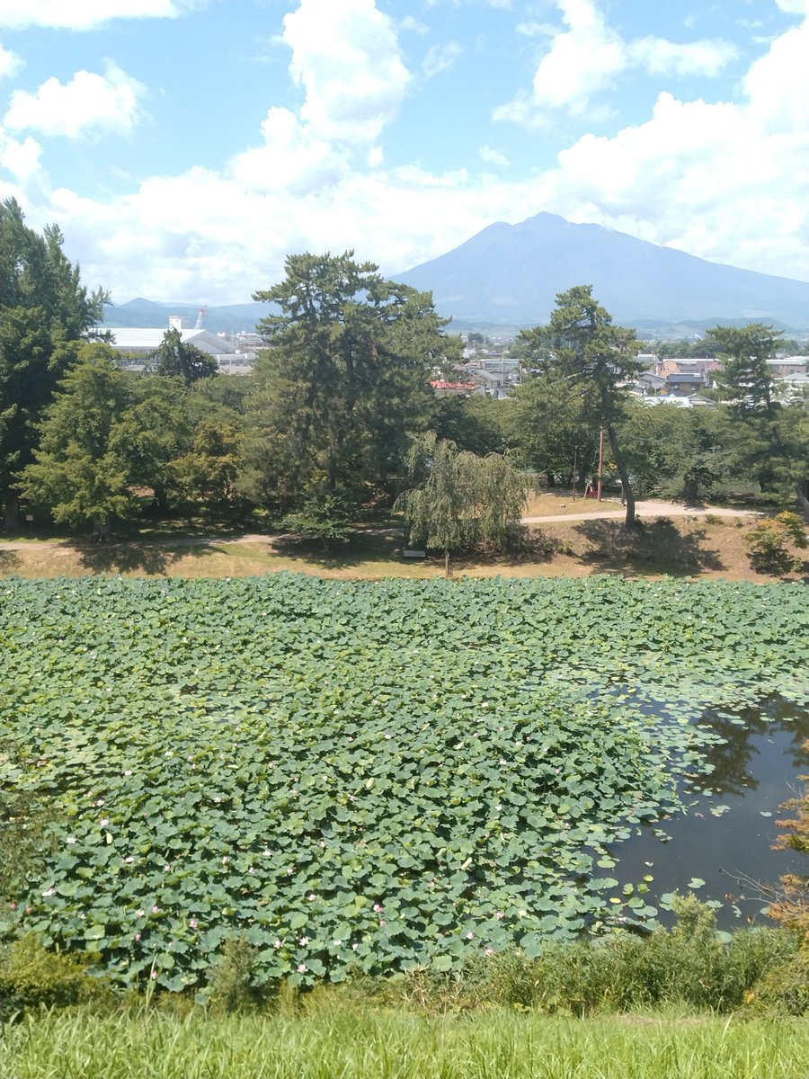 Ray_08071's tweet photo. 弘前城！蓮の花綺麗だった、今船乗って青森>>>>北海道 https://t.co/QbDR4Vu1Bu