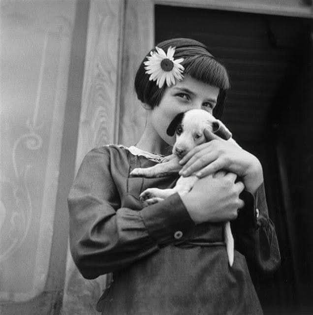 ParisAMDParis's tweet photo. 📸 Marcel Bovis. 
La fillette et son chiot
1935. Paris https://t.co/1znV9KUvX5