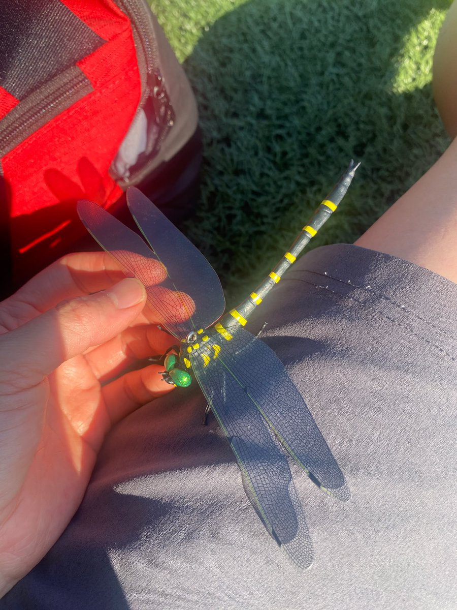 nataliemuscle's tweet photo. 「オニヤンマくんをつけたら蚊が来ない」を検証したところ、開始１分で２か所刺されて撃沈！ https://t.co/0UcAN5IorG