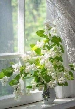 LaysaaEmalya's tweet photo. مع كل تسلل للضوء عبر النافذة، تتنفس حكايانا المخبأة.. تلقي عن كاهلها عتمة الأمس،وتزهر كوردة باغتها الندى.
خلف كل عينين تصحوان، سر جميل يهمس للوجود: ما زال في العمر متسع للدهشة
نحن لسنا مجرد عابري طريق، بل قصص ضوء صامتة، تنبت في تفاصيل الصباح لتروي للكون كيف يبتسم الأمل بغير كلام. https://t.co/QcX8uR7rfv