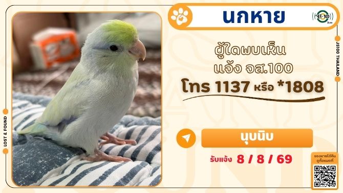 js100radio's tweet photo. นกหายจากบ้านซ.สาทร 13 แยก 8 เขตสาทร ผู้ใดพบเห็นแจ้ง JS100 โทร *1808 หรือ 1137

รายละเอียดเพิ่มเติม : https://t.co/KPTHuRAsmj

#นกหาย #ตามหานกหาย #JS100 https://t.co/1BkFRWG3oi