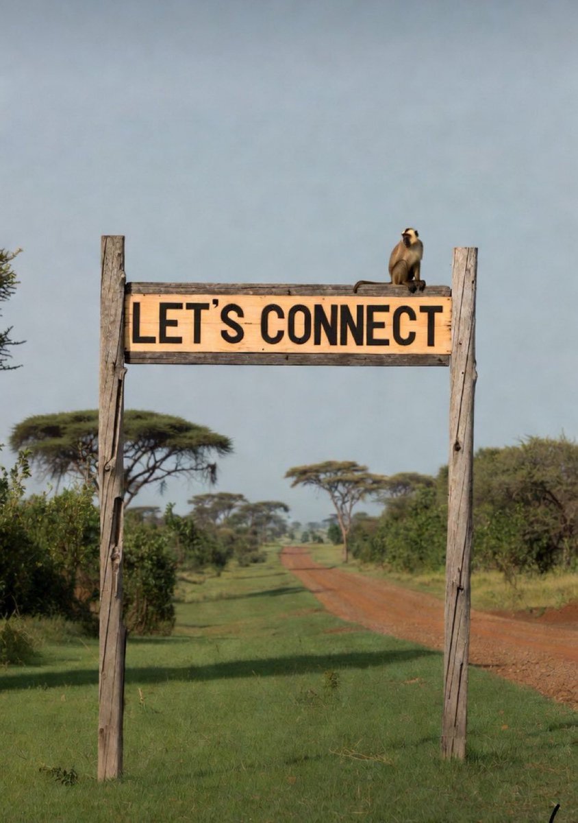 fregustus22's tweet photo. Morning 🌄 connecters 
Connect here https://t.co/l6tgkDYOHQ