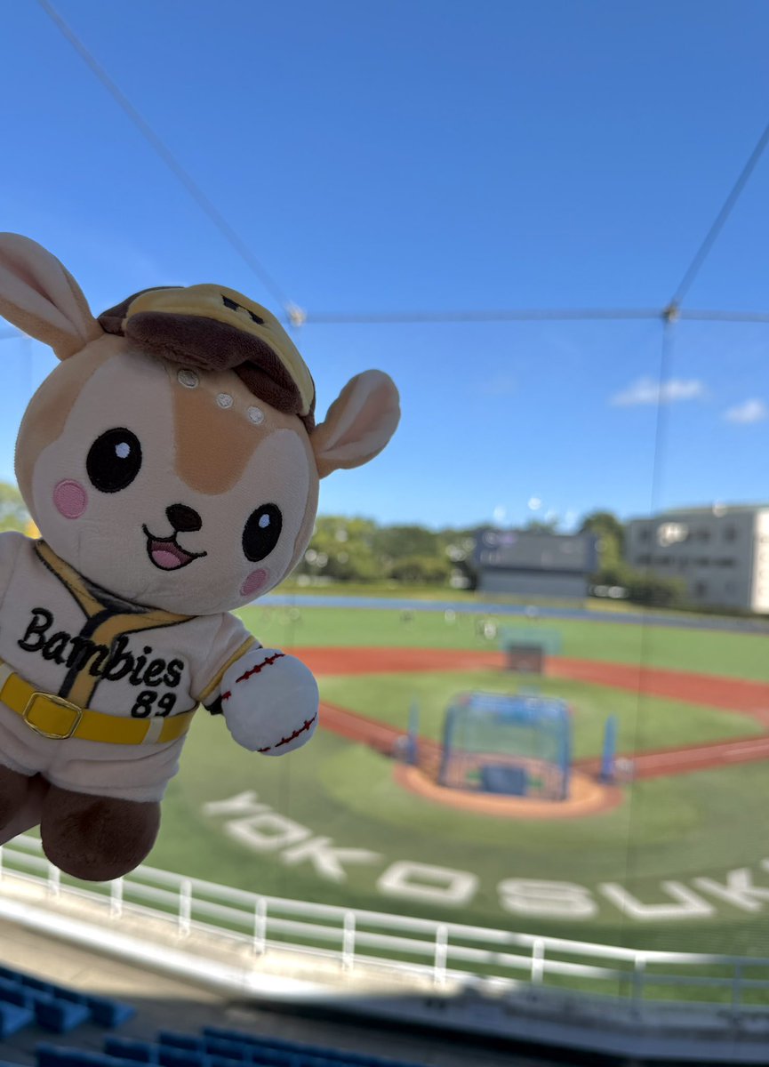 Bambies2025's tweet photo. 【出張Bambies‼️】
ホークス2軍は昨日から #横浜DeNAベイスターズ と交流戦🌟今日と明日は、横須賀スタジアムで18時プレイボールです🏟

#sbhawks
#Bambies https://t.co/WYfeJpWCss