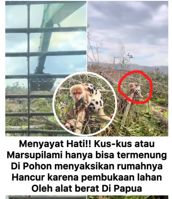 SoeTjenMarching's tweet photo. Kejinya manusia tiada henti. https://t.co/rjGyMTVlFA