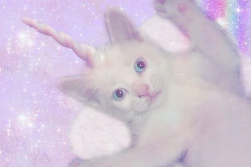 augustm00nsh's tweet photo. #moothunt day 5!
(NOT NEW)
:¨ ·.· ¨:
 `· .  August !!    He/They    Basic dni 🦴
                  ••••••••••••••••••••••••••••
            looking for interactive moots

一  ♡ + ↻ are appreciated  
#foodtwt #edrtwt #ykmet 
+ I follow back https://t.co/0ho26eS3Ue